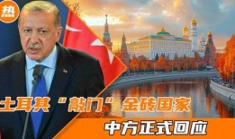 土耳其最新爆料,揭秘背后惊人真相！