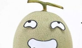 娱乐吃瓜不想停,吃瓜不停，精彩不断！