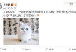 最新爆料崔哥,揭秘娱乐圈惊人内幕