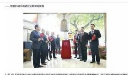 深圳蒋先生最新爆料,揭秘某神秘事件背后真相