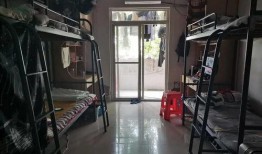 318宿舍在线观看,青春记忆里的温馨时光