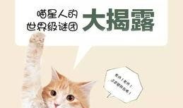 黄瓜猫吃瓜视频免费观看,免费畅享欢乐时光