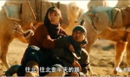 骆驼客 电影在线观看,穿越丝绸之路的传奇之旅在线观影指南